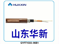 山(shān)東(dōng)華新 2024年(nián)度産品碳足迹報(bào)告